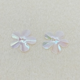 ѥ󥳡/֡1ķ/HT19/19mm//5