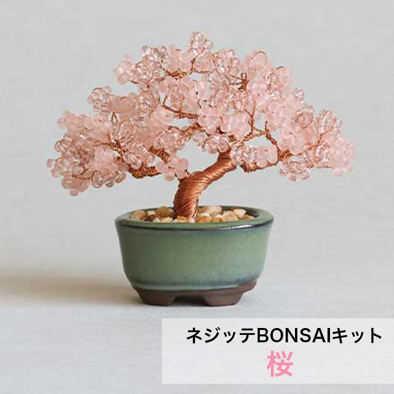 専用　一花セット RS-03 星花・リリィ MK3｜rosado Project｜キャラクター