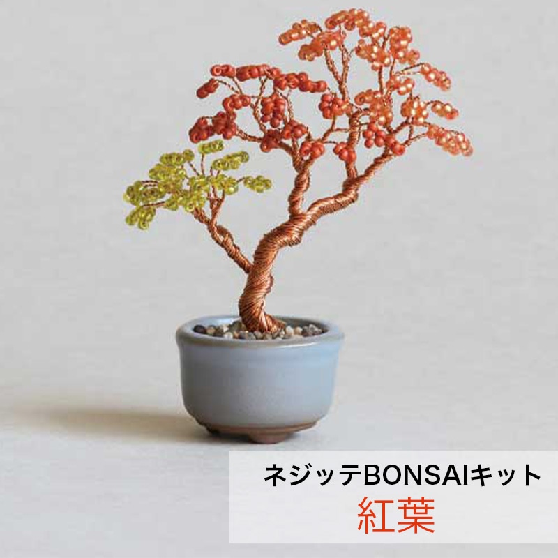 ネジッテBONSAIキット/HCA030/5/紅葉/1個｜作ろ！ドットコム