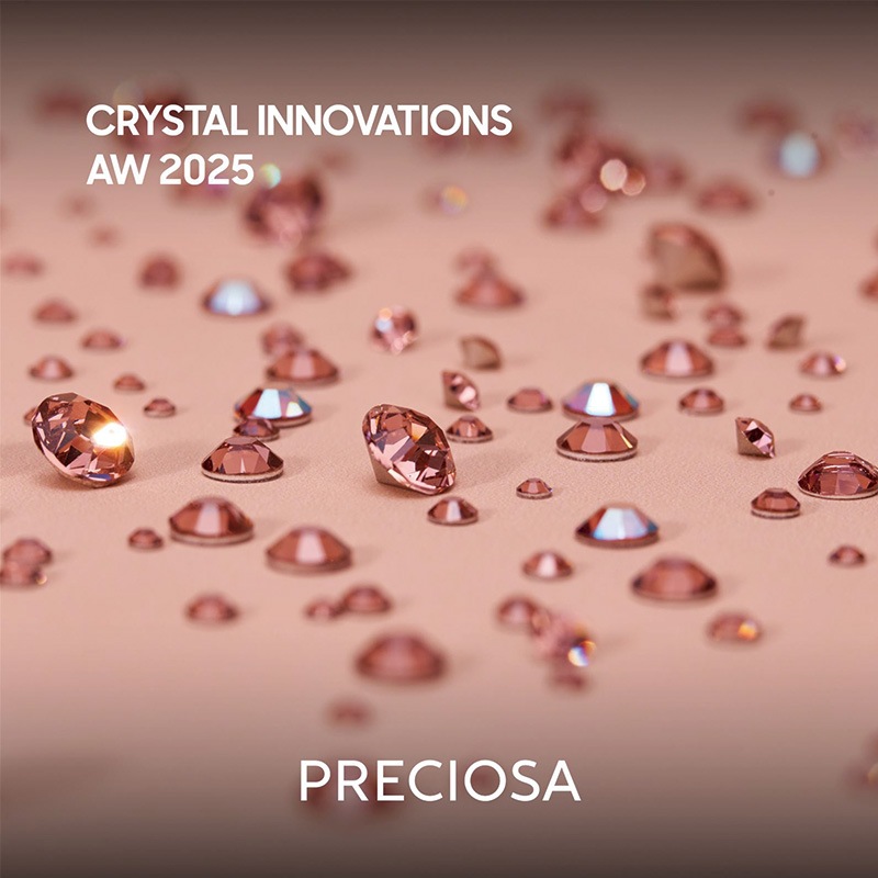 2025AWۥץ쥷/饤󥹥ȡMAXIMA/ƥ