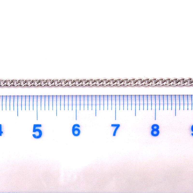 ���ƥ�쥹/�ͥå��쥹(��ʿ)/JTSC-11/1��