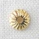 �¶�/CAP12/4mm/20��