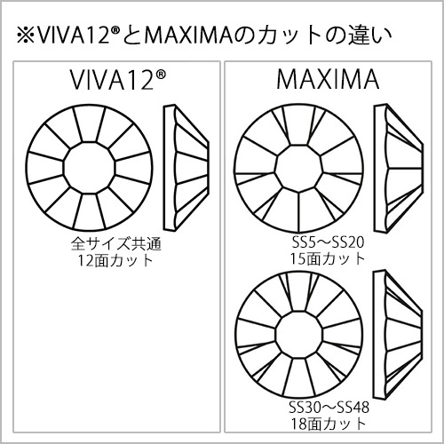 ץ쥷/饤󥹥ȡVIVA12/󥶥ʥȥ