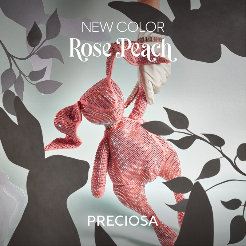 ��2025SS�����ۥץ쥷����/�饤�󥹥ȡ���MAXIMA/�������ԡ���