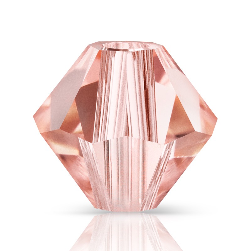 ��2025SS�����ۥץ쥷����/�����Х�/�������ԡ���