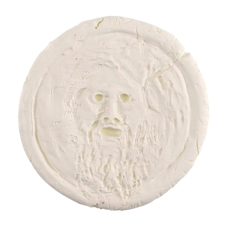 �ڥ��������������Ǵ��/�ץ�ߥ�/100g/90��