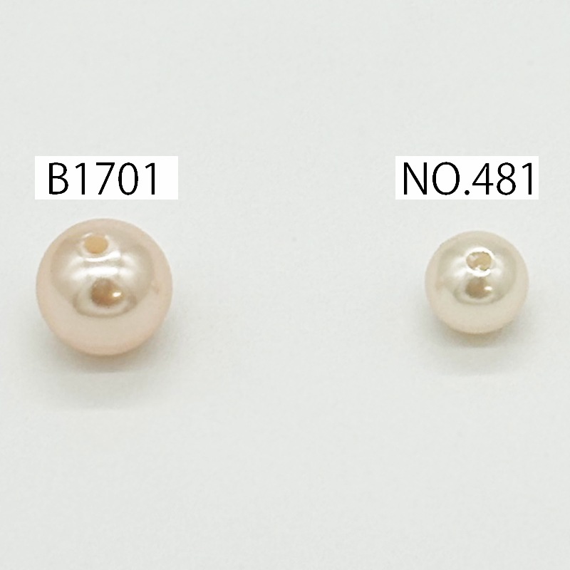 ����ѡ���/�̤���/NO.481(B1701)