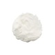 �ڥ��������������Ǵ��/�����������ե����Υۥ磻�ȡ�/500g/30��
