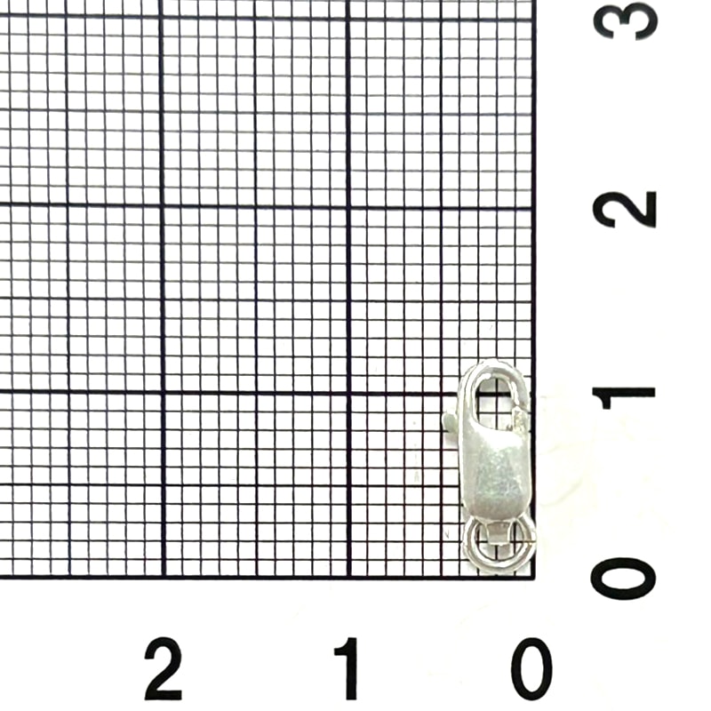 SV925/���֥��������饹��/SVLB-10/10mm/1��