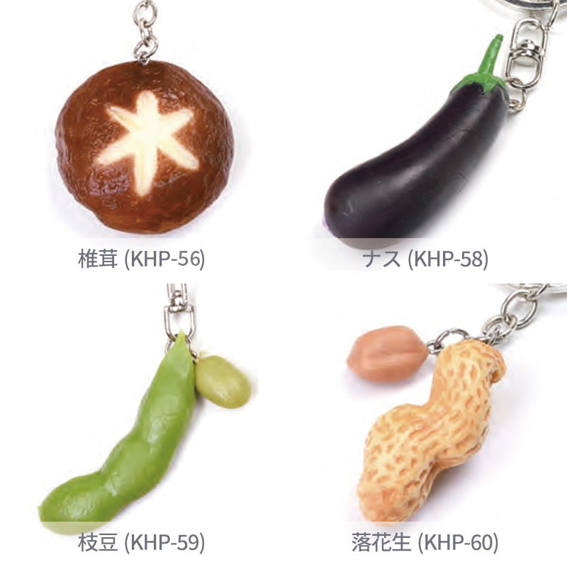 ���ʥ���ץ륭���ۥ����/���/1��