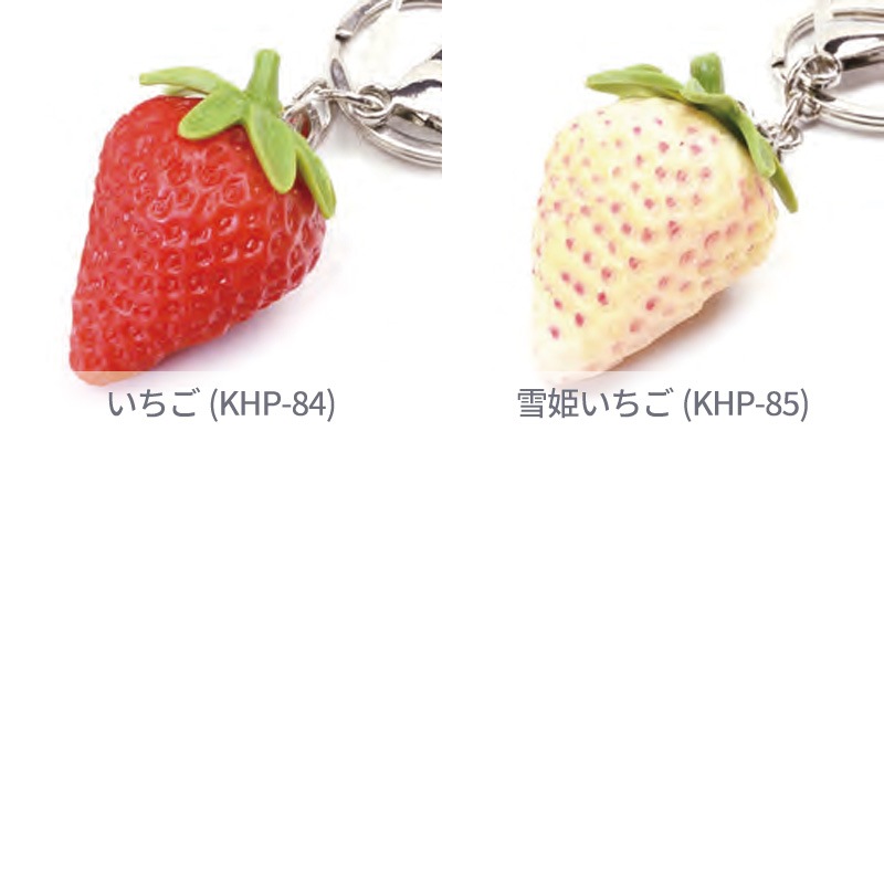 ���ʥ���ץ륭���ۥ����/��ʪ/1��