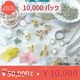 �ڥ�����ե����� �������ѥå��դ��� 2026ǯʡ��/10000�ѥå�