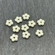 �ѡ���ѡ���(��)/B243/8mm/�ۥ磻��/10��