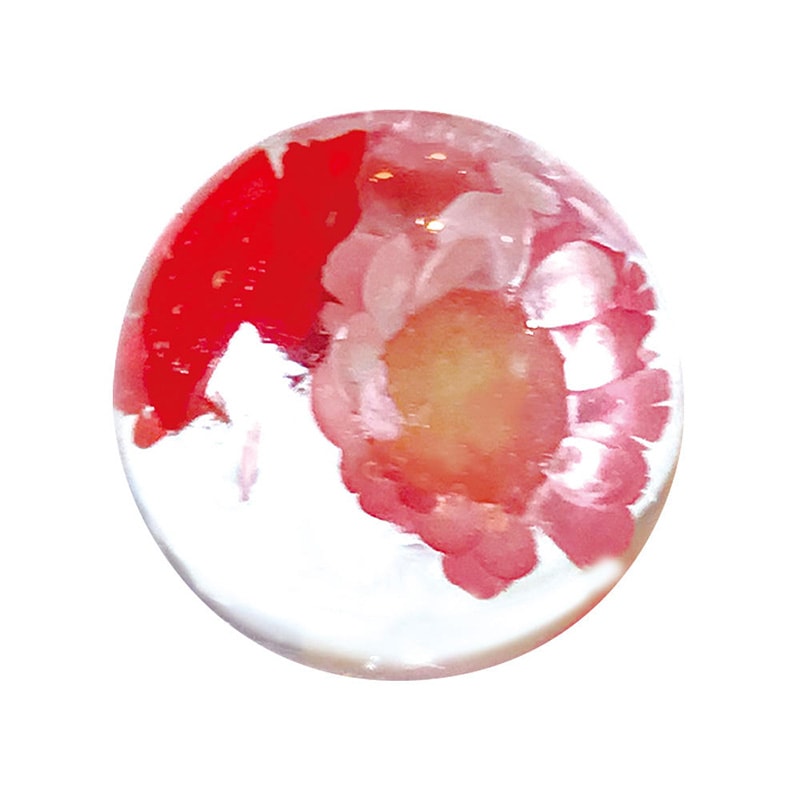 ���ꥳ����⡼��ɡε��Ρ�/16mm/1��