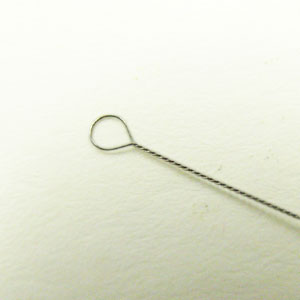�ӡ�����/CTNM/��6.5cm��ľ����0.3mm