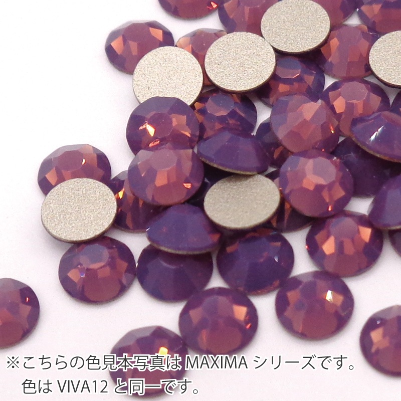 �ץ쥷����/�饤�󥹥ȡ���VIVA12/���᥸���ȥ��ѡ���