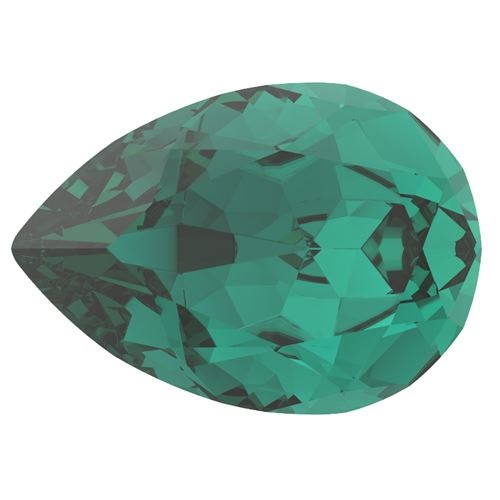 �ץ쥷����/�ե��󥷡����ȡ���/P4320/�������/1��