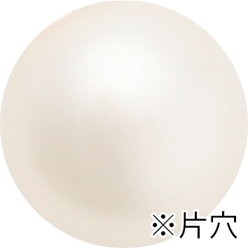 �ץ쥷����/�ѡ���(�ҷ�)/�饤�ȥ��꡼�������