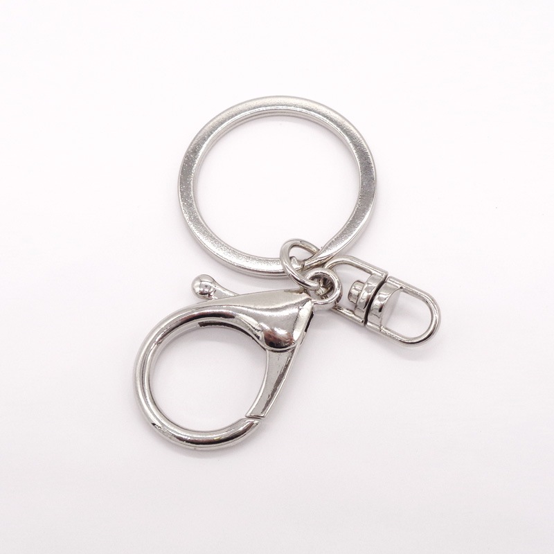 ��ť�󥰡��եå��դ������ۥ����/F30-HOL