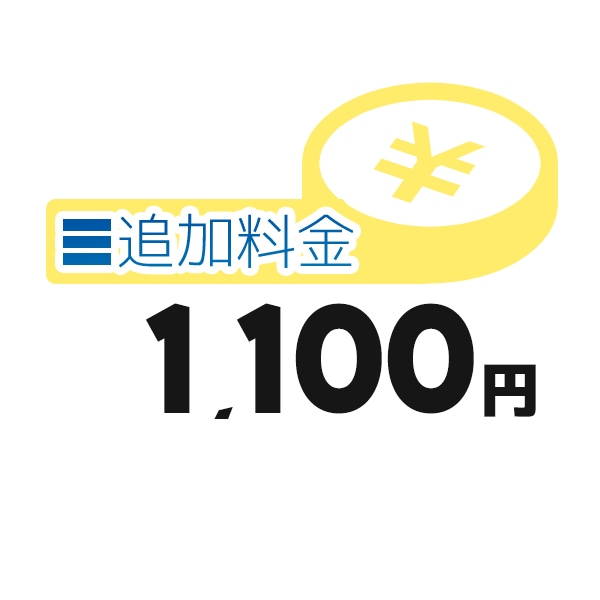 《追加料金・1100円分》追加料金決済かご【1100円】