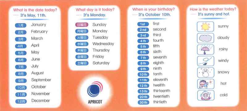 ATTENDANCE CARD(ʥ)10