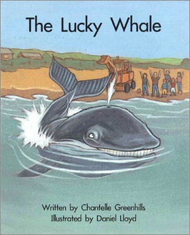 APRICOT Springboard Level.15