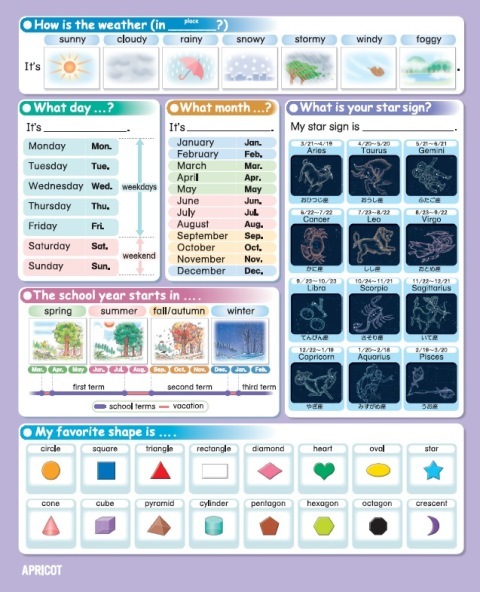 NOTEBOOK 13 (Purple)5