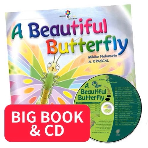 3-book BIG BOOK SET with Lesson Plans レッスンプラン付 動画QR付