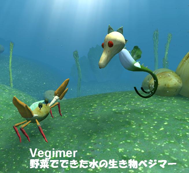 PLATINA DVD 2nd Fun at the Beach（ビーチで水あそび)