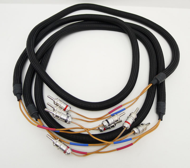 SPC-2.0PA with RBN-1 / Acoustic Revive 