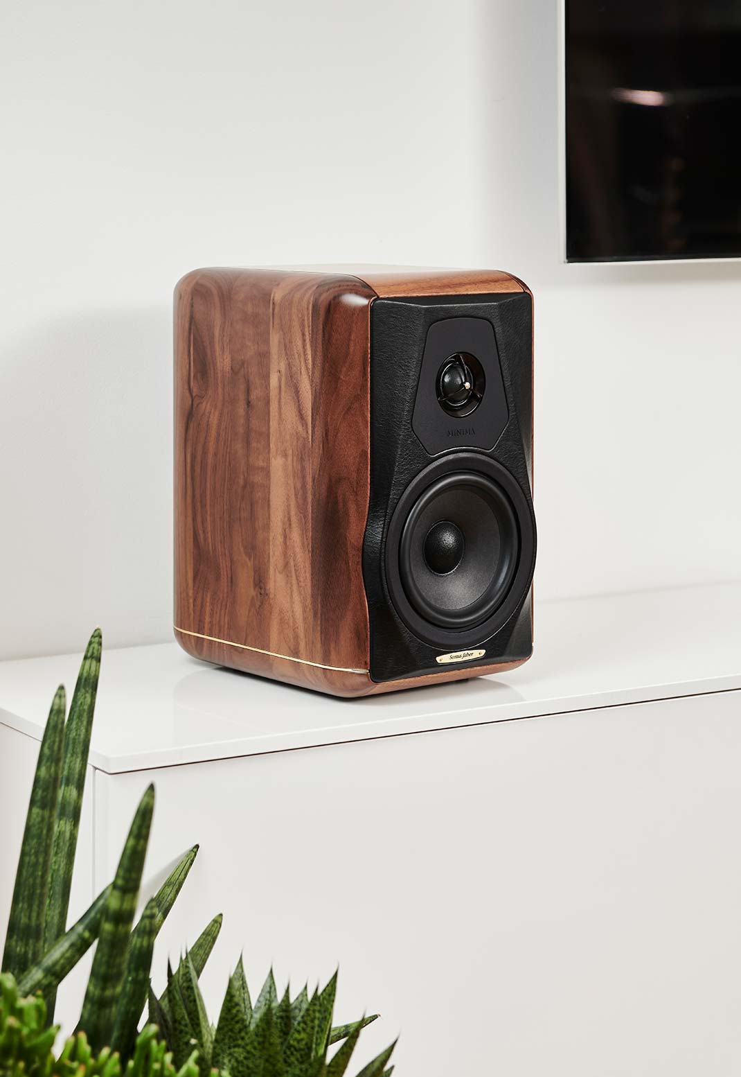 Minima AmatorII / Sonus Faber 1set限り最終新品｜U-AUDIO