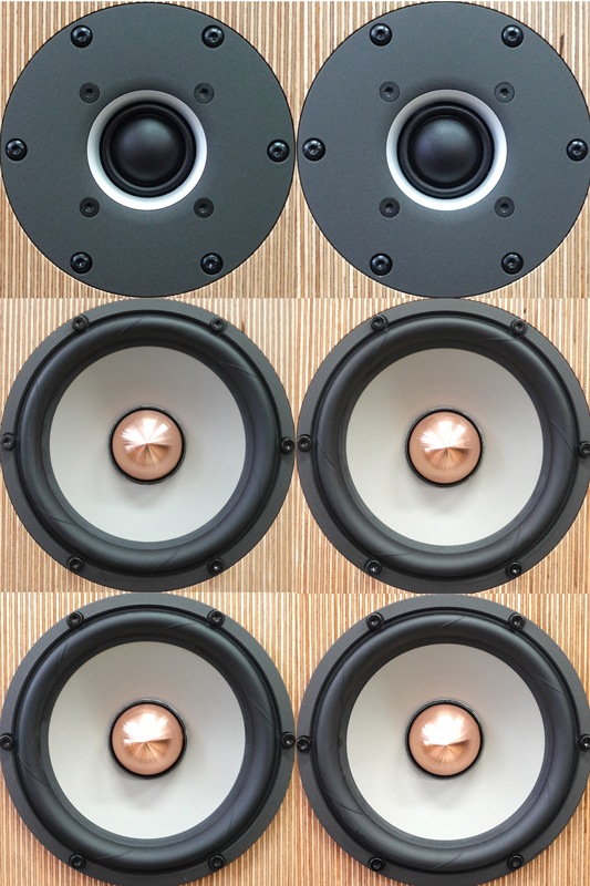 SARA S SIGNATURE / PENAUDIO 売約済｜U-AUDIO