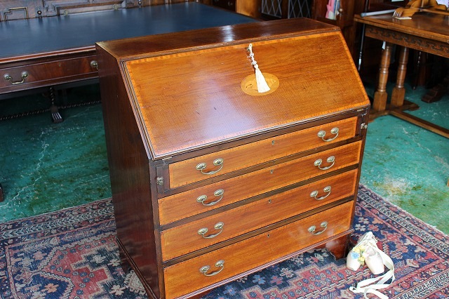 ꥹƥȶ ƥӥ塼 饤ƥ󥰥ӥ塼 饤ƥ󥰥ǥ ӥ塼ǯѹN51