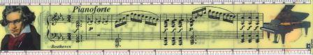 EELP300 #783000