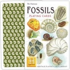 #1064 FOSSILS