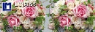 LCS088 / Roses