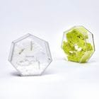 ���åȥ󥯥쥤