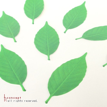 �꡼�ա�Leaf Thermometer��