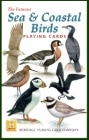#1031 Sea & Coastal Birds
