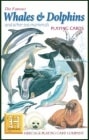 #1048 Whales & Dolphins
