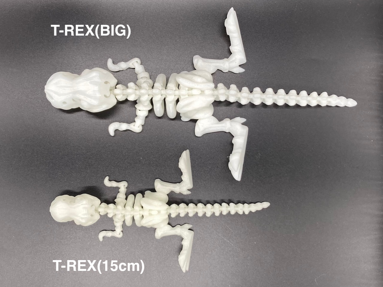 �ߥ饯������ʥ�����T-REX�� BIG