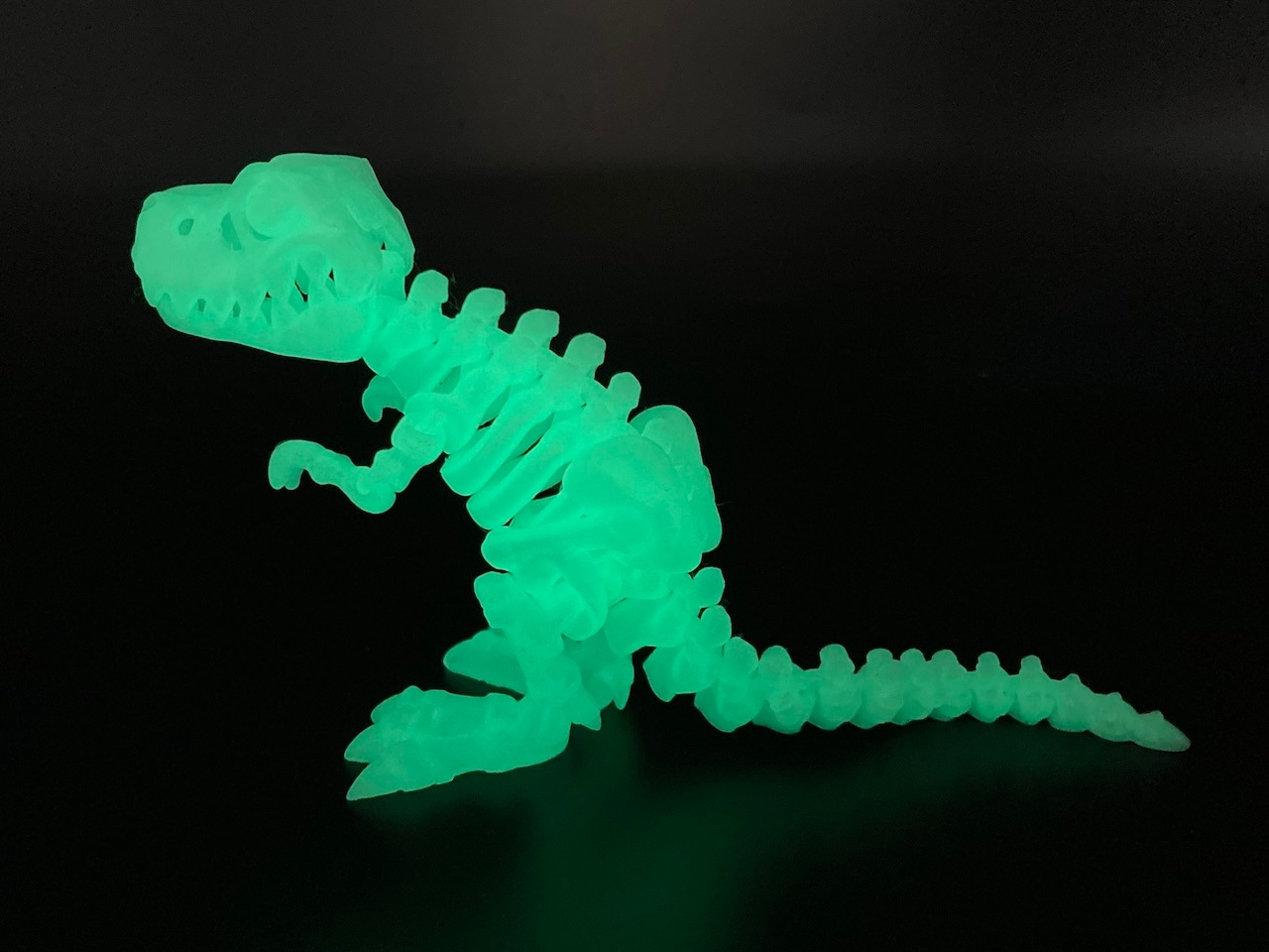 �ߥ饯������ʥ�����T-REX�� BIG