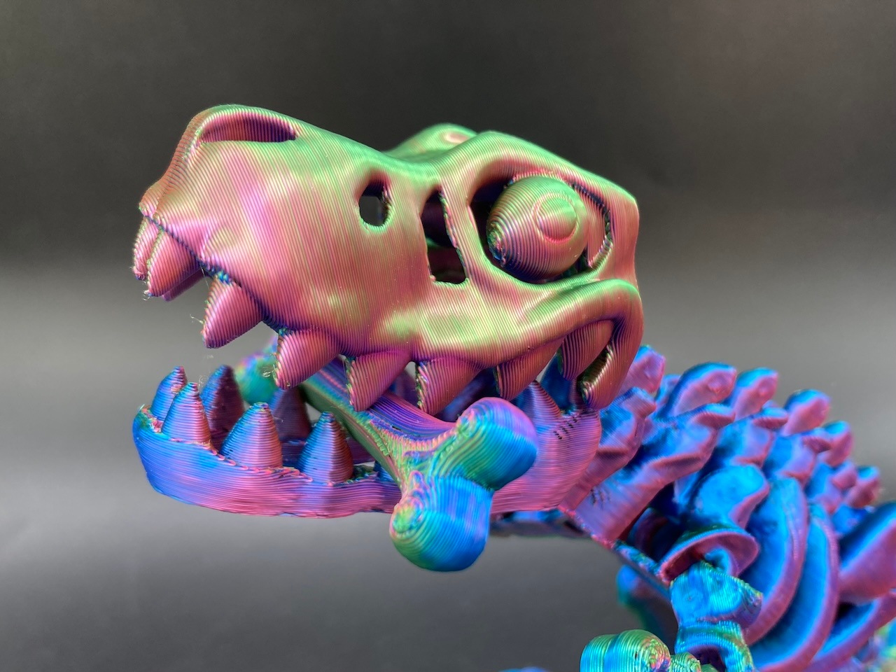 �ߥ饯������ʥ�����T-REX�� BIG