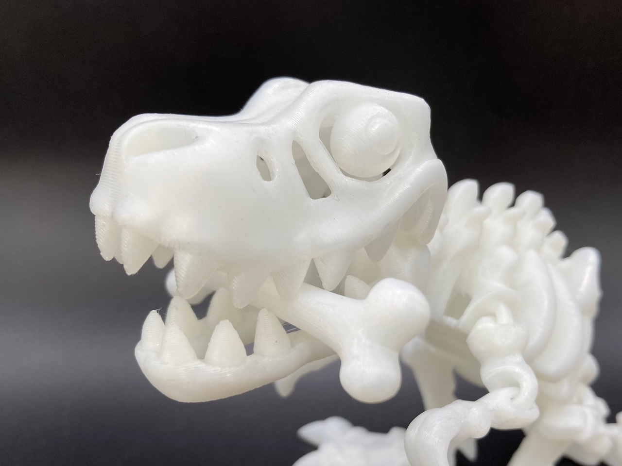 �ߥ饯������ʥ�����T-REX�� BIG