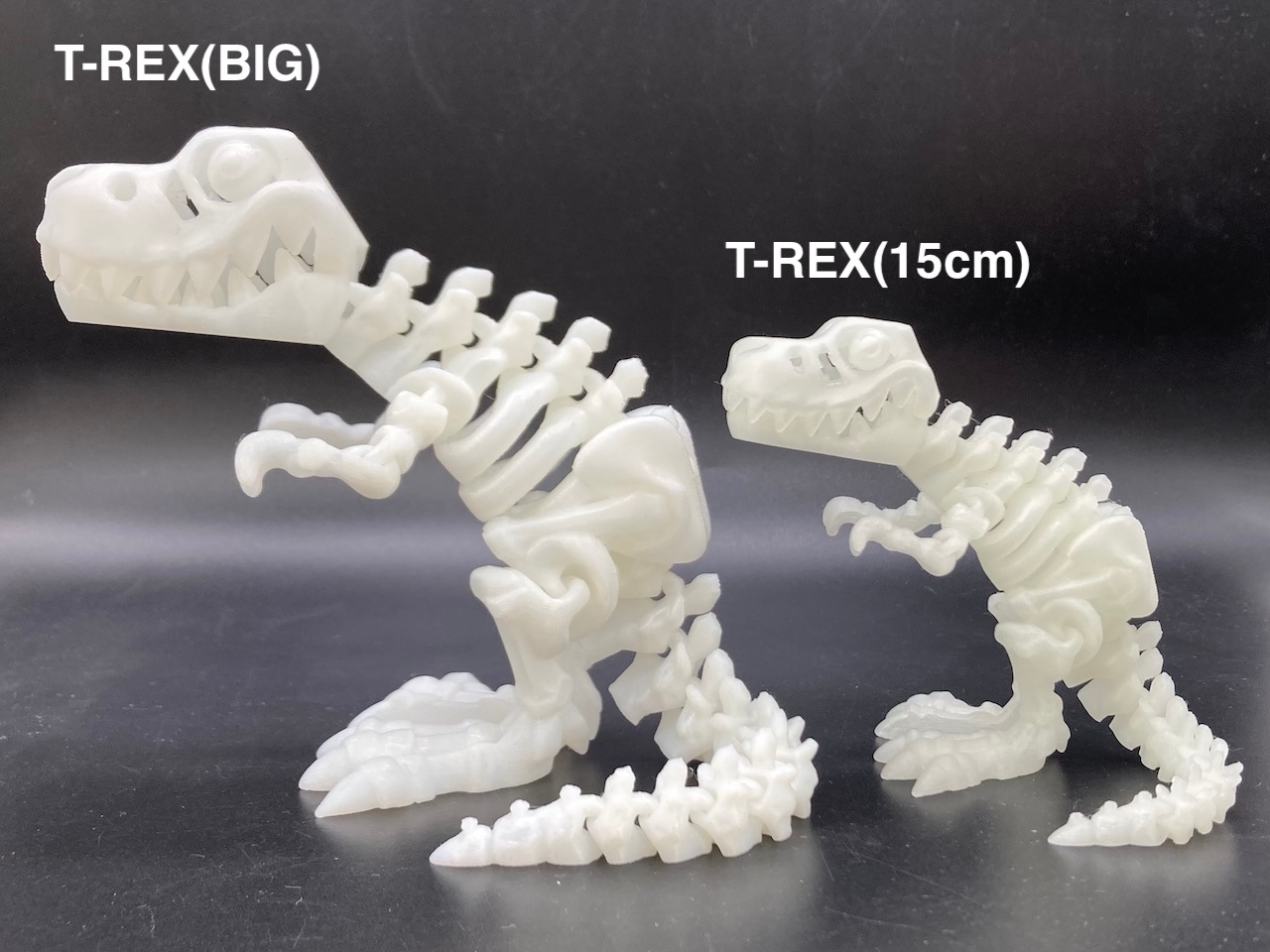 �ߥ饯������ʥ�����T-REX�� BIG