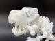 �ߥ饯������ʥ�����T-REX�� BIG