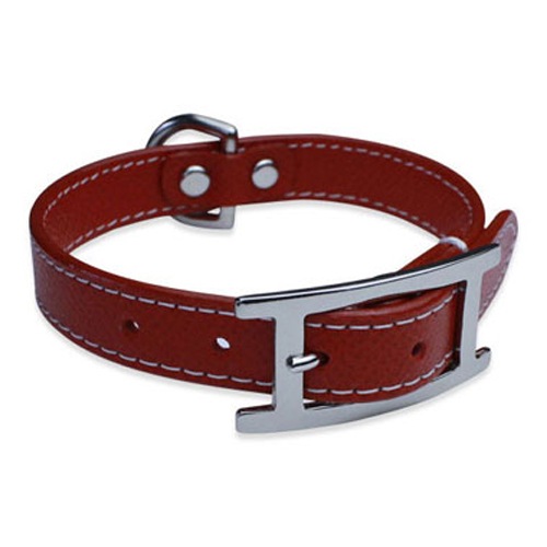 Ｈ　レザーカラー