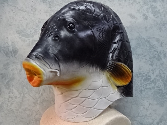 魚の被り物・フルフェイス「鯉のマスク」。珍しい魚のマスクです。