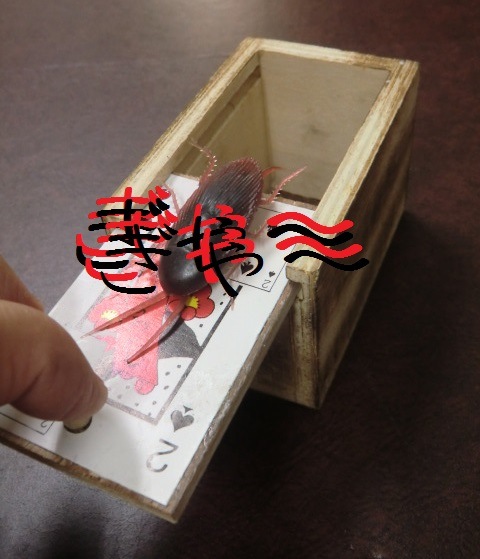 びっくり木箱・いたずらグッズ
