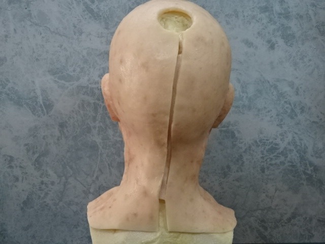 ・シリコンメールマスク・シニアBタイプ、◆スタジオファンデザイン